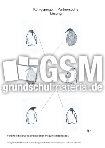 Pinguine partnersuche